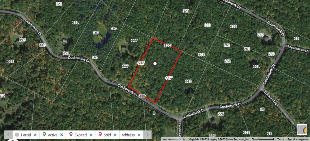 Lot 61 Cushetunk Drive, Cochecton, New York image 20