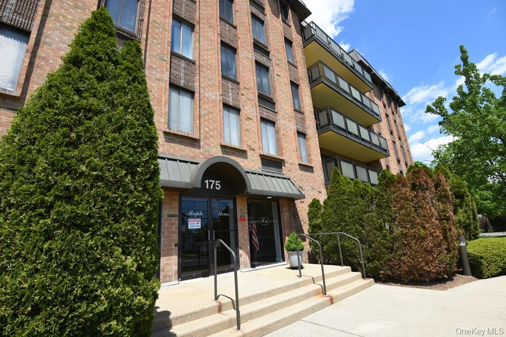 175 Maple Avenue 4I