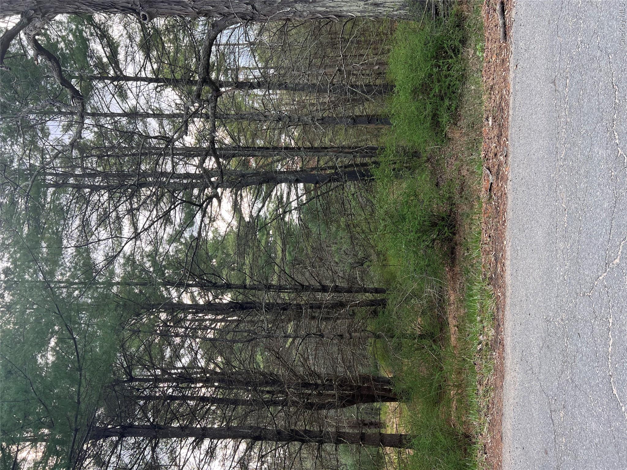 Upper Pine Kill Road Upper Pine Kill Road