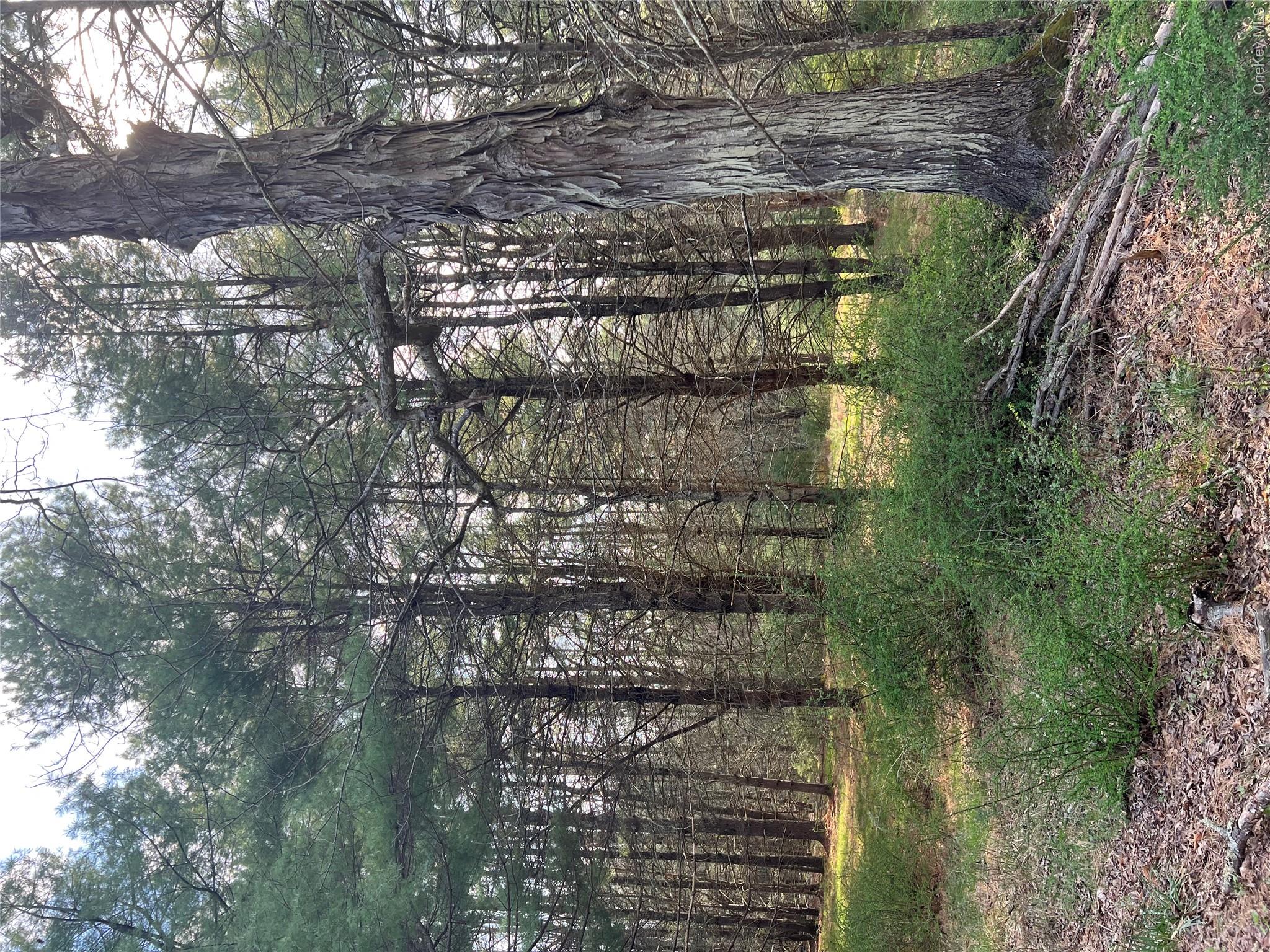 Upper Pine Kill Road Upper Pine Kill Road
