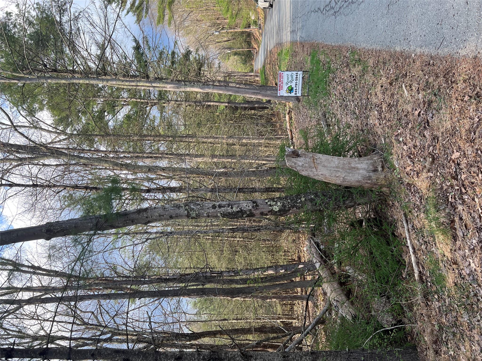 Upper Pine Kill Road Upper Pine Kill Road
