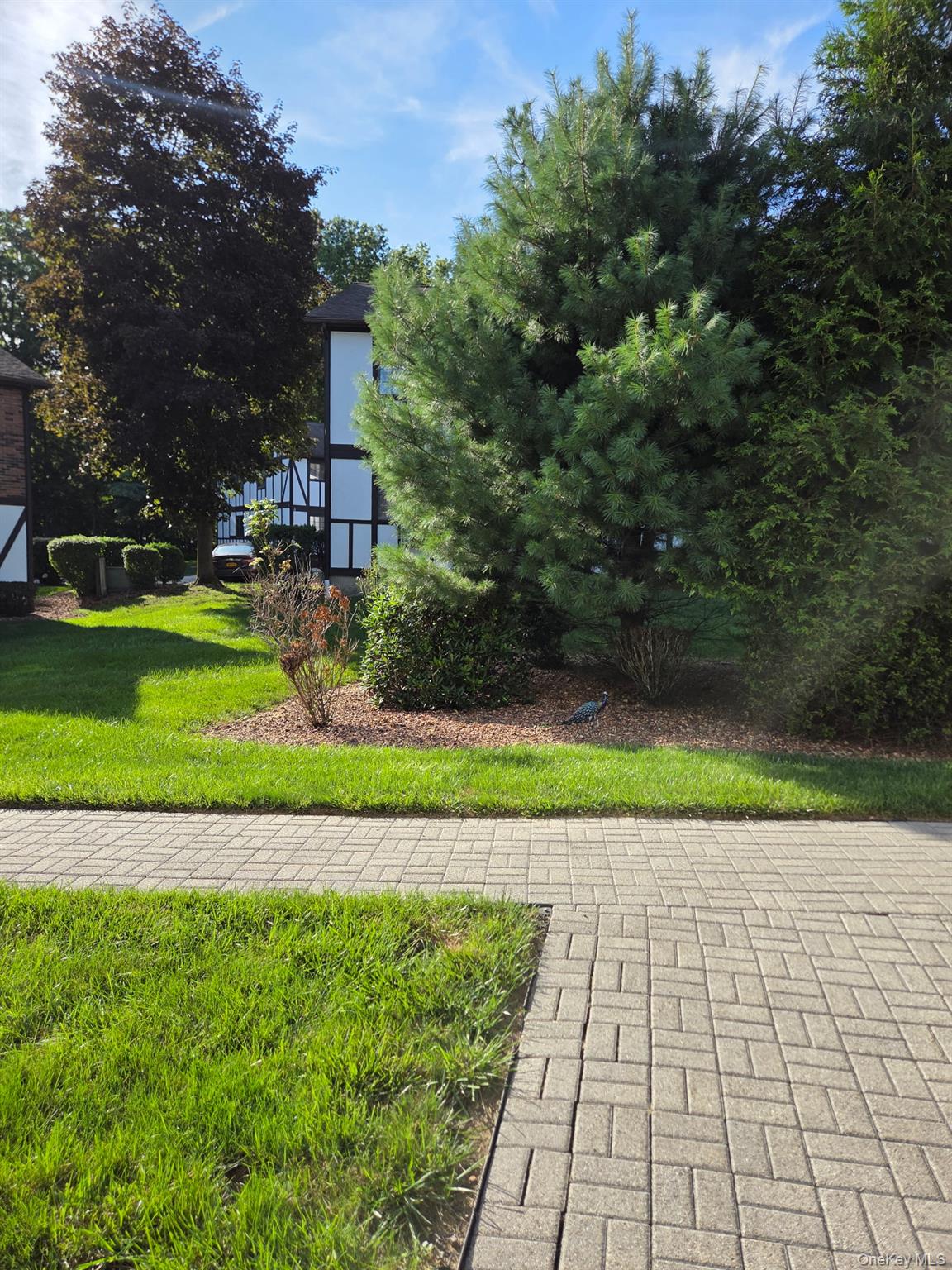 11 Brittany Drive