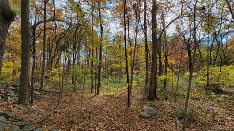 Vacant Land For Sale - 15 Rose Estates<br/> Walden, NY 12586
