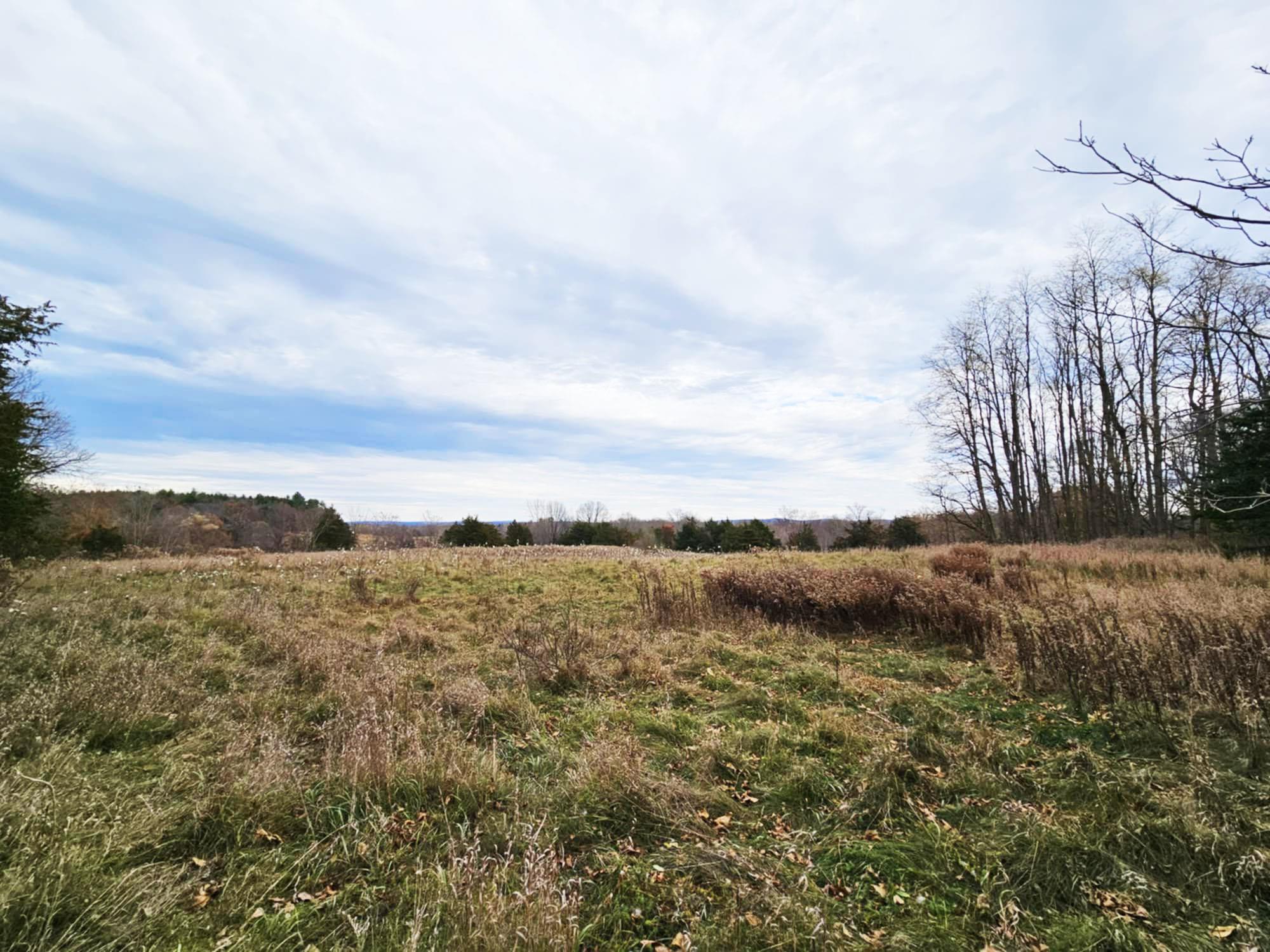 274 Fingar Road, Hudson, New York image 8
