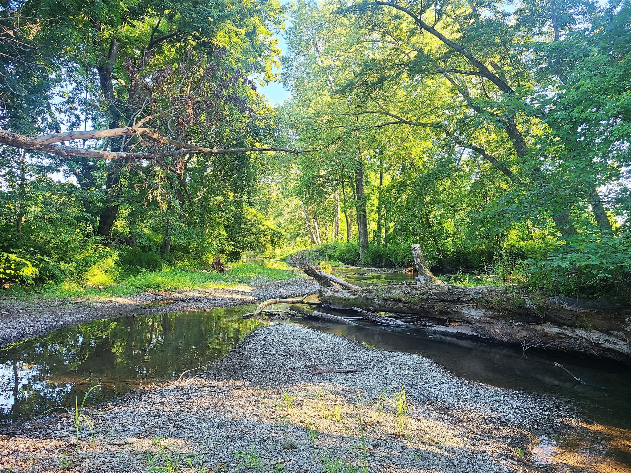 274 Fingar Road, Hudson, New York image 7