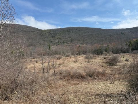 Vacant Land For Sale - LOT # 3 Mountain Edge Lane<br/> Millerton, NY 12546