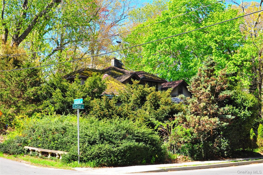 Photo of 50 Cedar Street, Stony Brook, NY 11790 (MLS # 991478)
