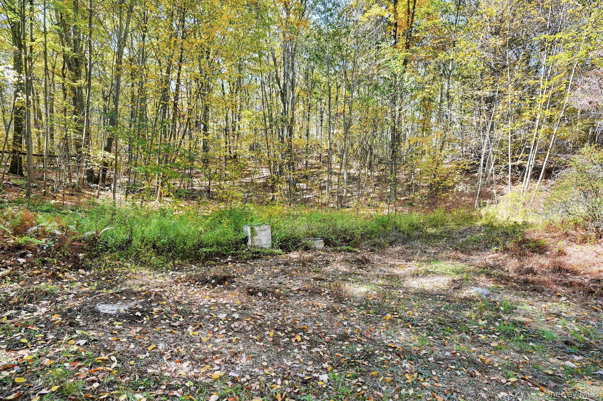 2 Coburn Road W, Sherman CT