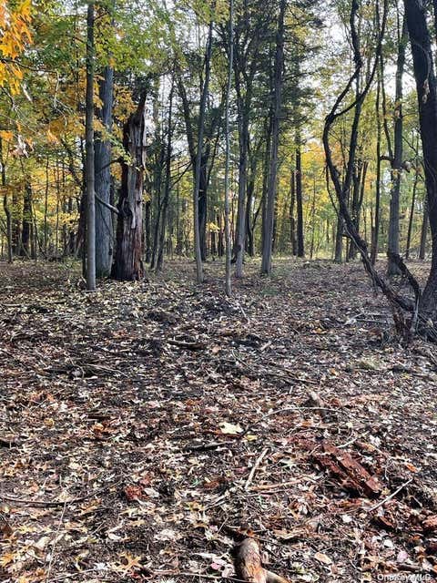 Vacant Land For Sale - 15 Tammy Trail<br/> Athens, NY 12051