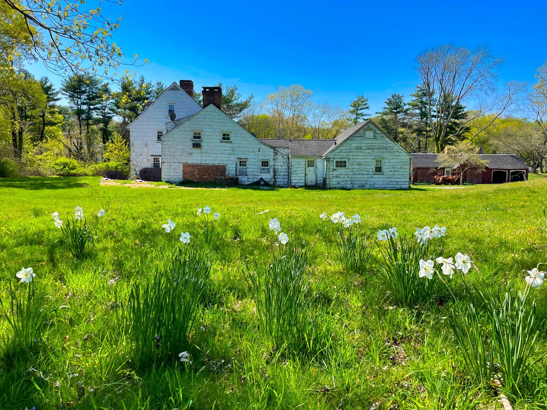 380 370 & O Deer Park Road, Dix Hills, New York image 5