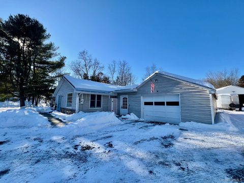Homes For Sale - 1245 Salt Point Turnpike<br/> Pleasant Valley, NY 12569