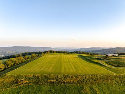 Tiny photo for 365-381 Tower Hill Road, Wassaic, NY 12592 (MLS # 849515)