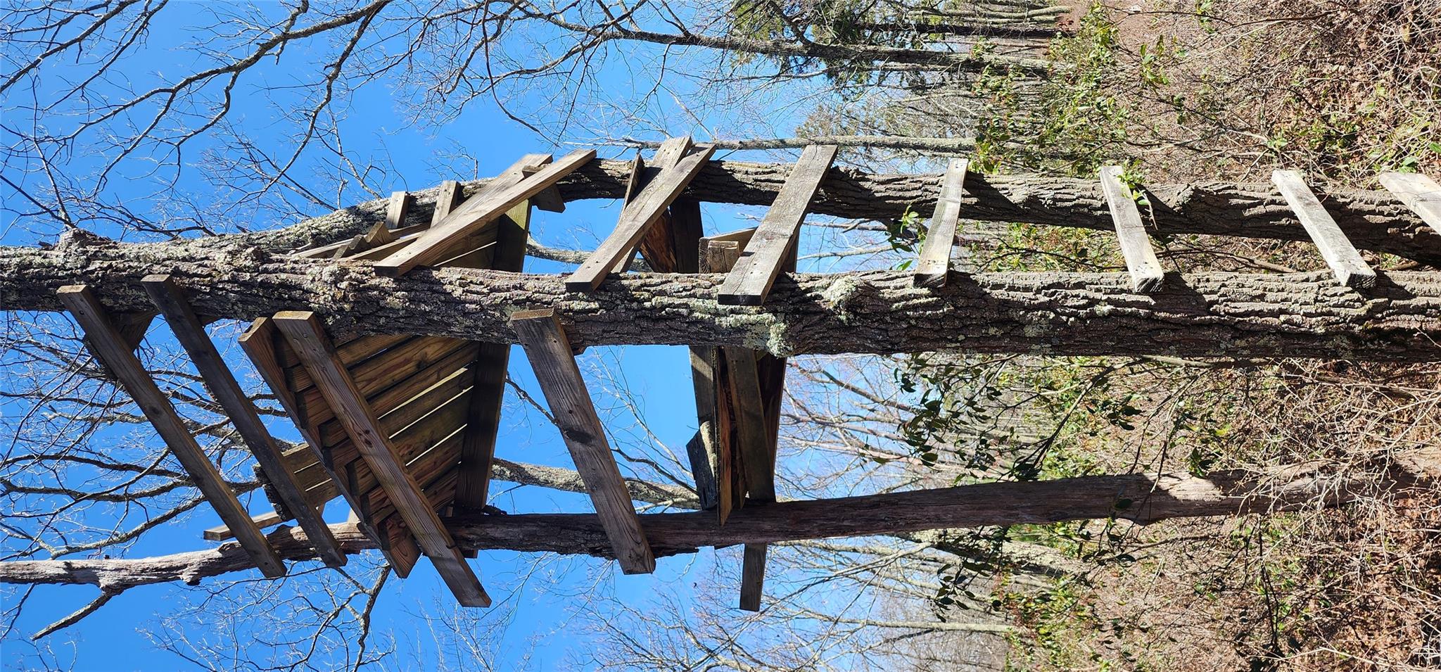 Peewee Trail