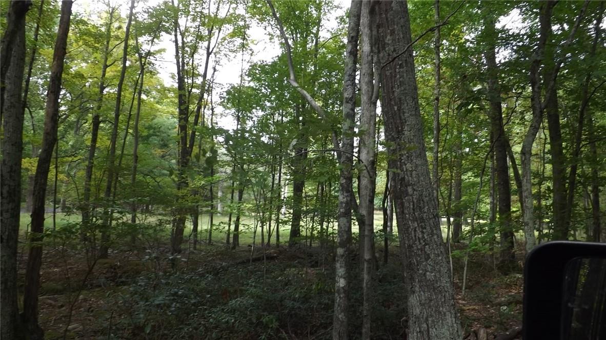 Roosa Gap Road, Wurtsboro, New York image 16