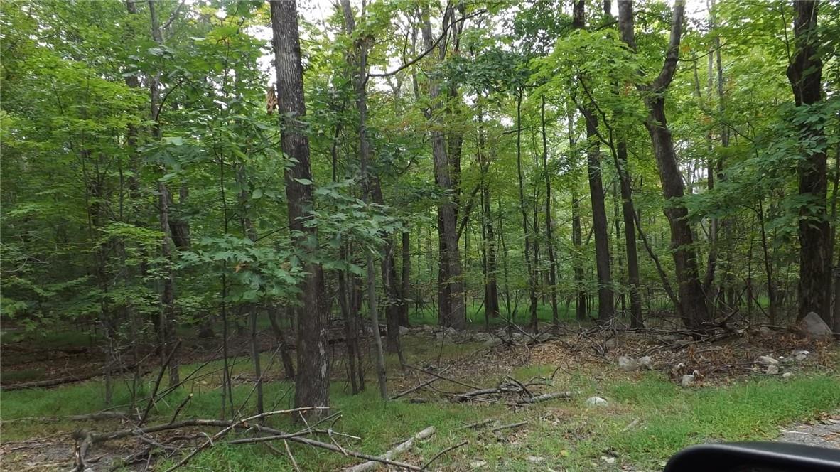 Roosa Gap Road, Wurtsboro, New York image 20