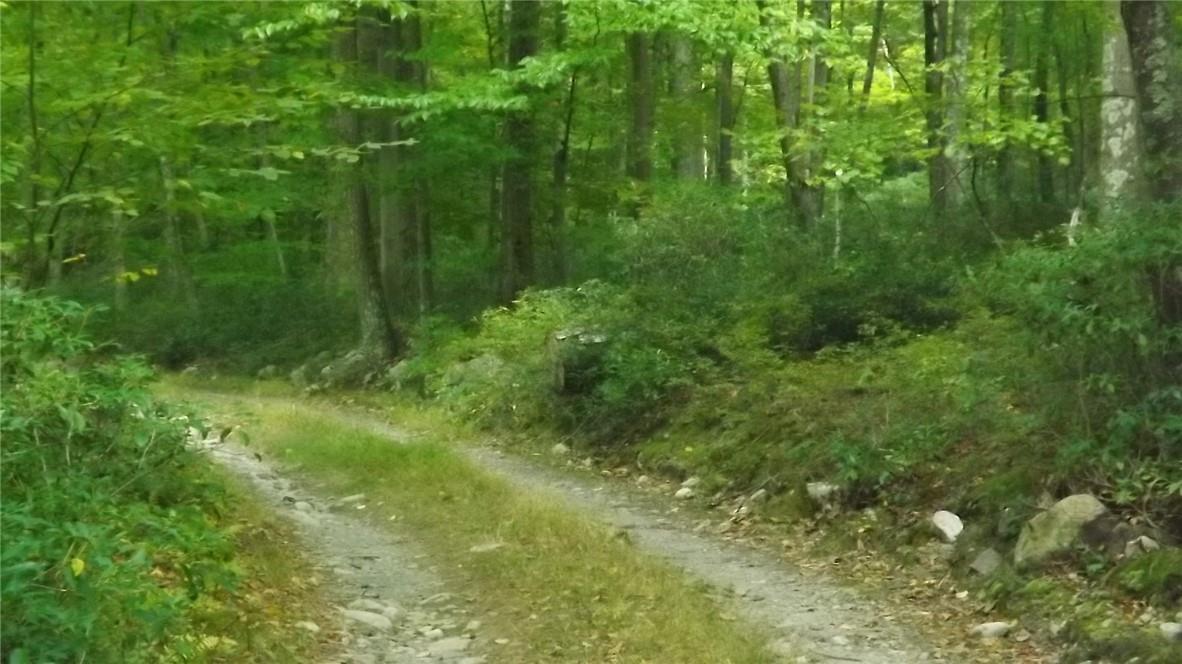 Roosa Gap Road, Wurtsboro, New York image 18