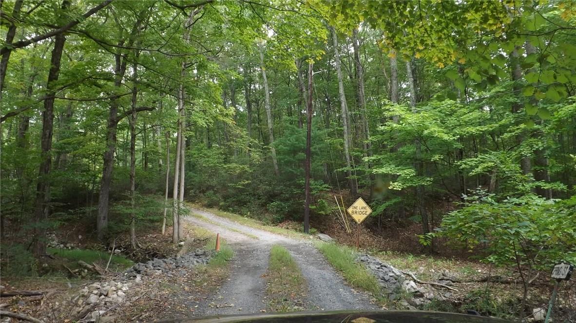 Roosa Gap Road, Wurtsboro, New York image 12