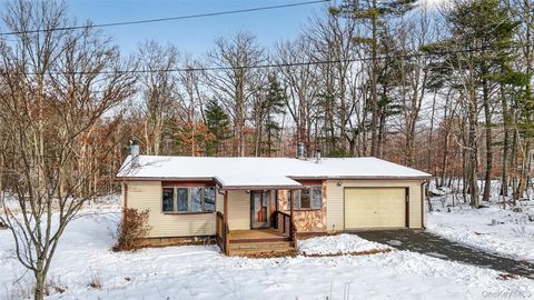 1073 Indian Springs Road Pine Bush NY 12566