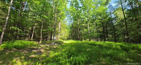 Vacant Land For Sale - 00 Church Aka Pan Am Road<br/> Mountain Dale, NY 12763