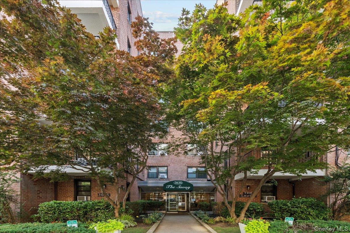 3635 Johnson Avenue 1M