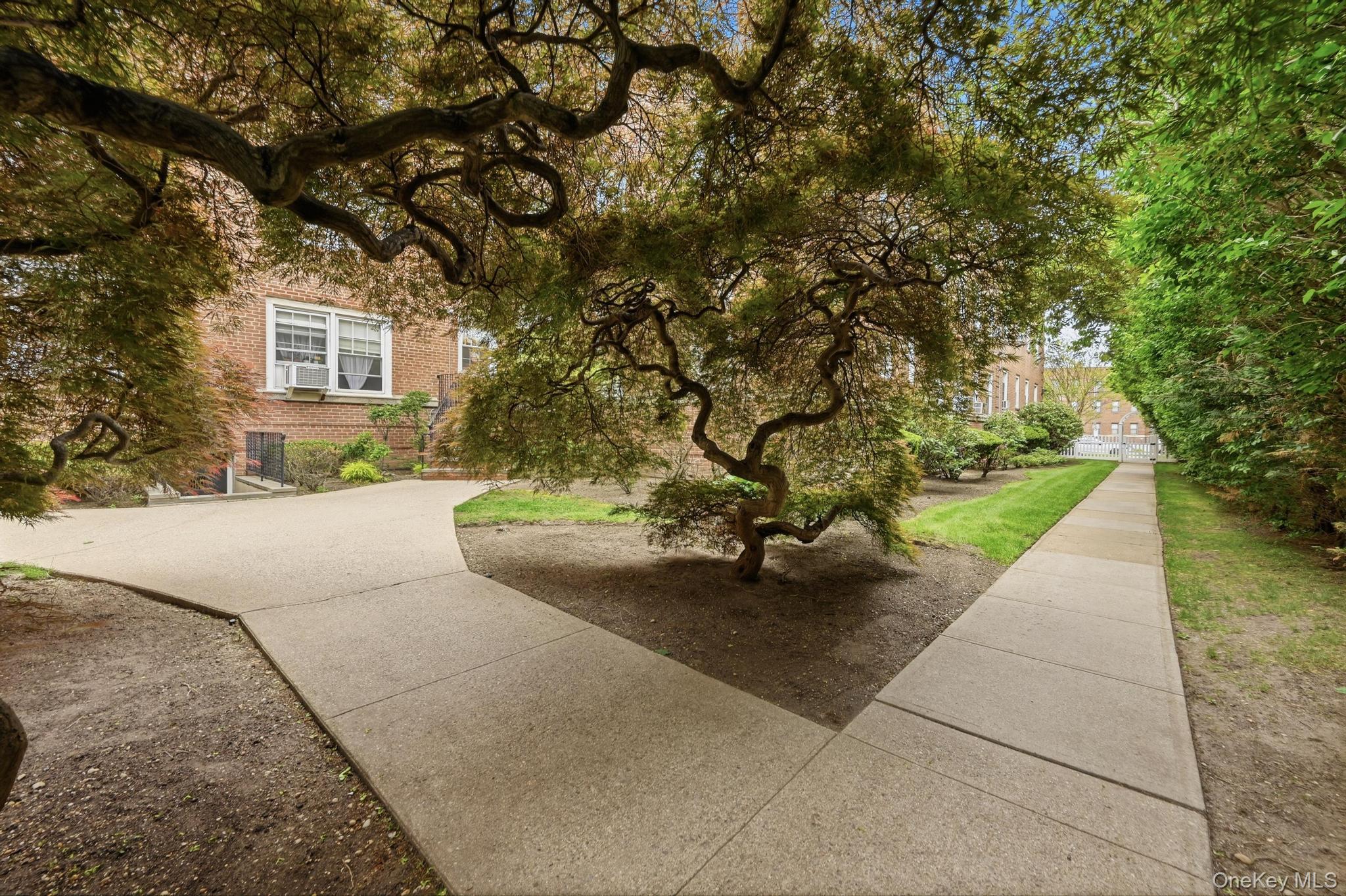 230 Central Avenue 1F