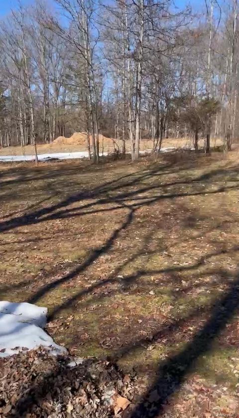 Vacant Land For Sale - TBD Bull Road<br/> Washingtonville, NY 10992