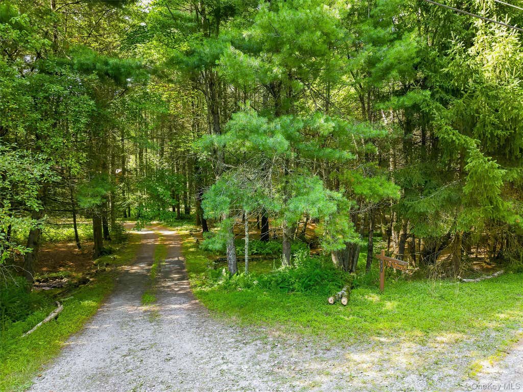 Photo of 111 Deer Meadow Road, White Lake, NY 12720 (MLS # 1031460)