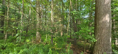 Vacant Land For Sale - LOT 6 Nys 52 Rd<br/> Narrowsburg, NY 12764