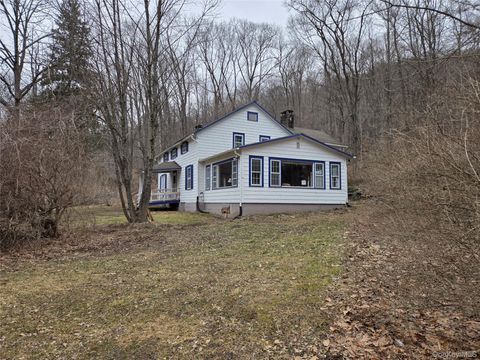 20 Peck Hollow Road Shandaken NY 12480