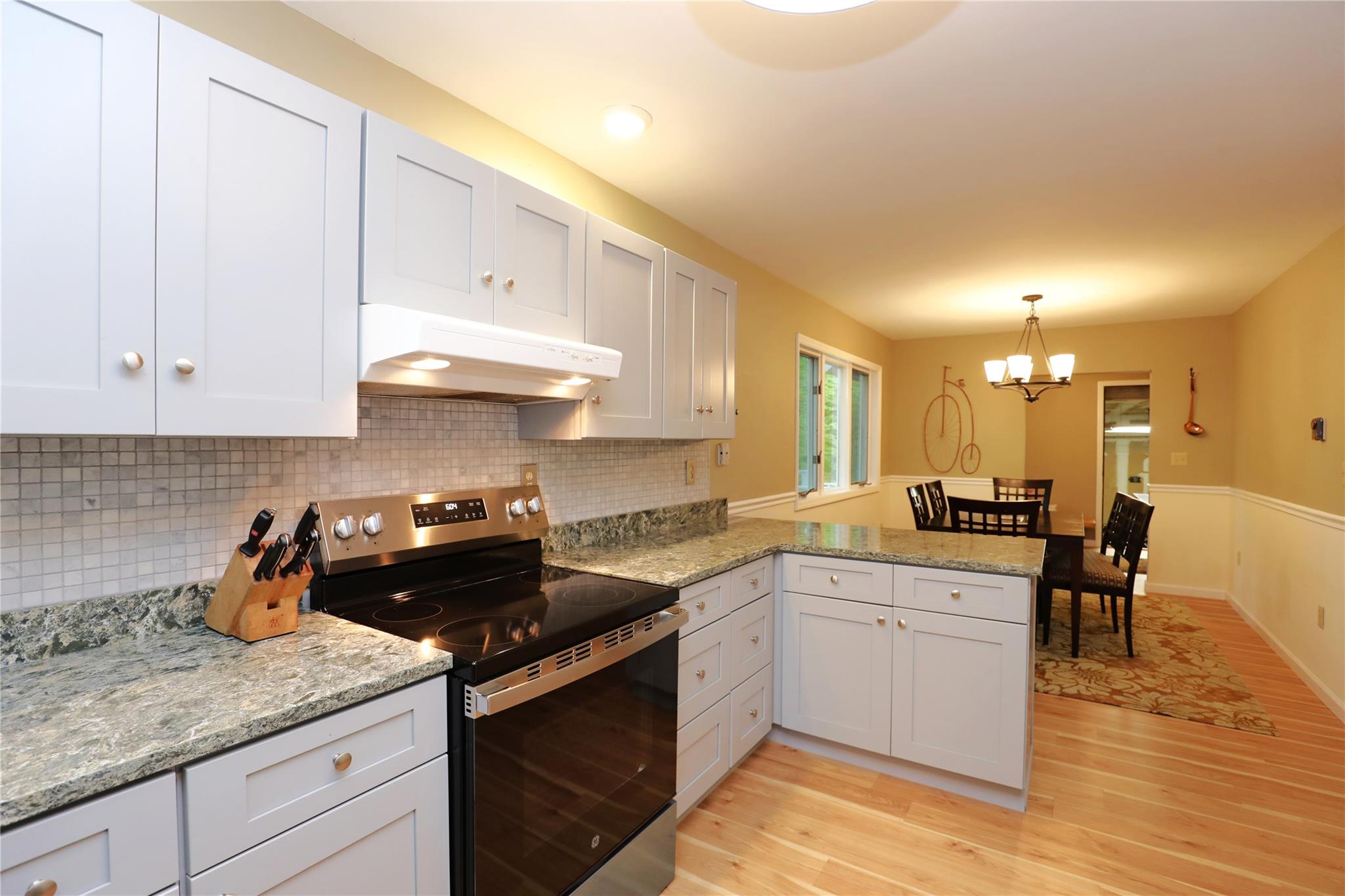 3 Carriage House Court, Hyde Park, New York image 14