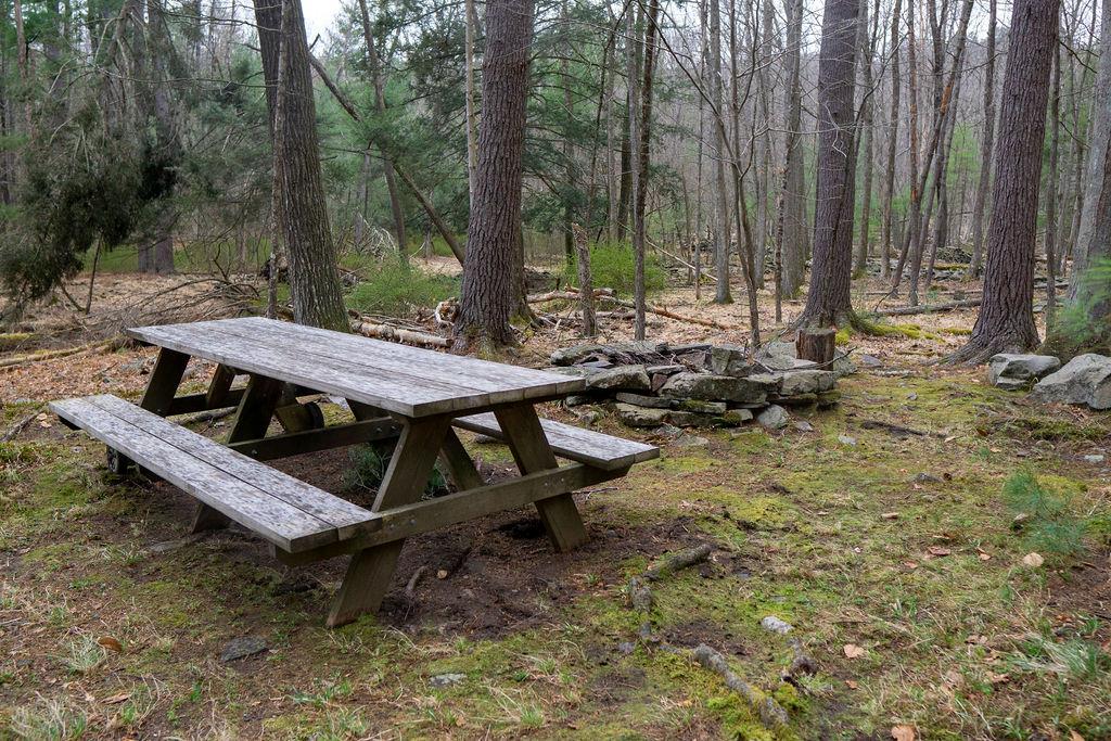 TBD Yulan-barryville Road, Barryville, New York image 22