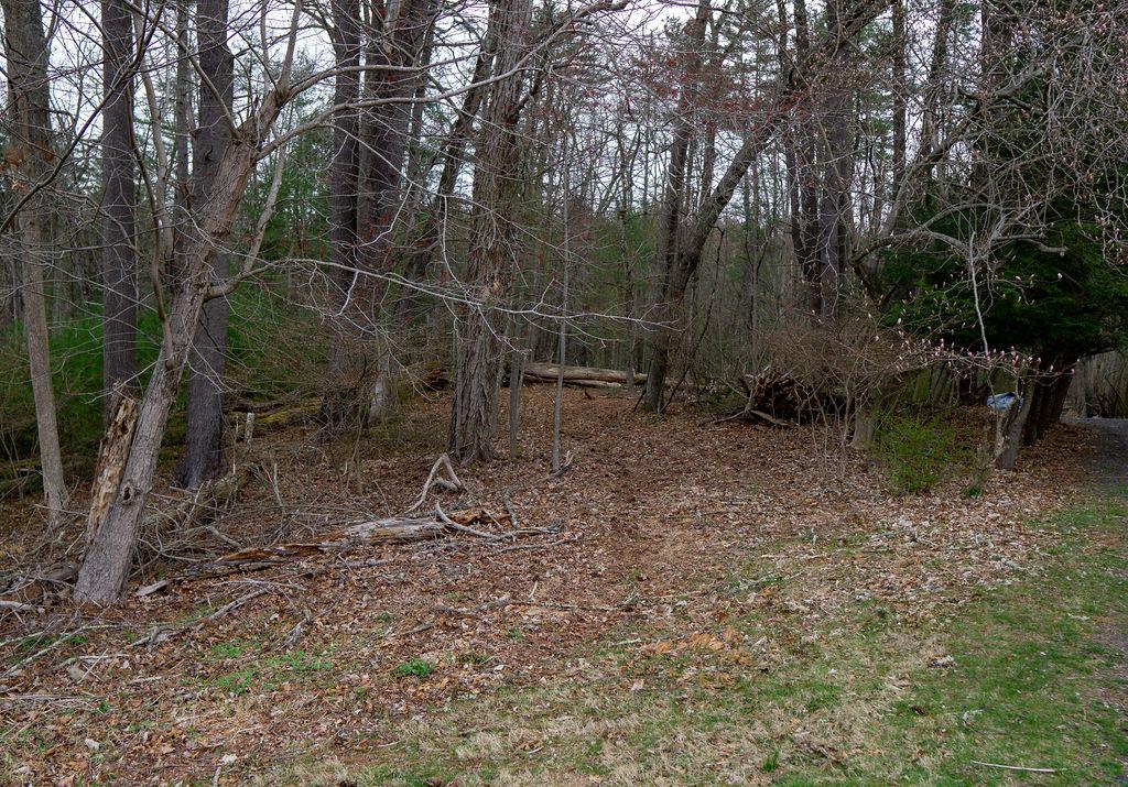 TBD Yulan-barryville Road, Barryville, New York image 13