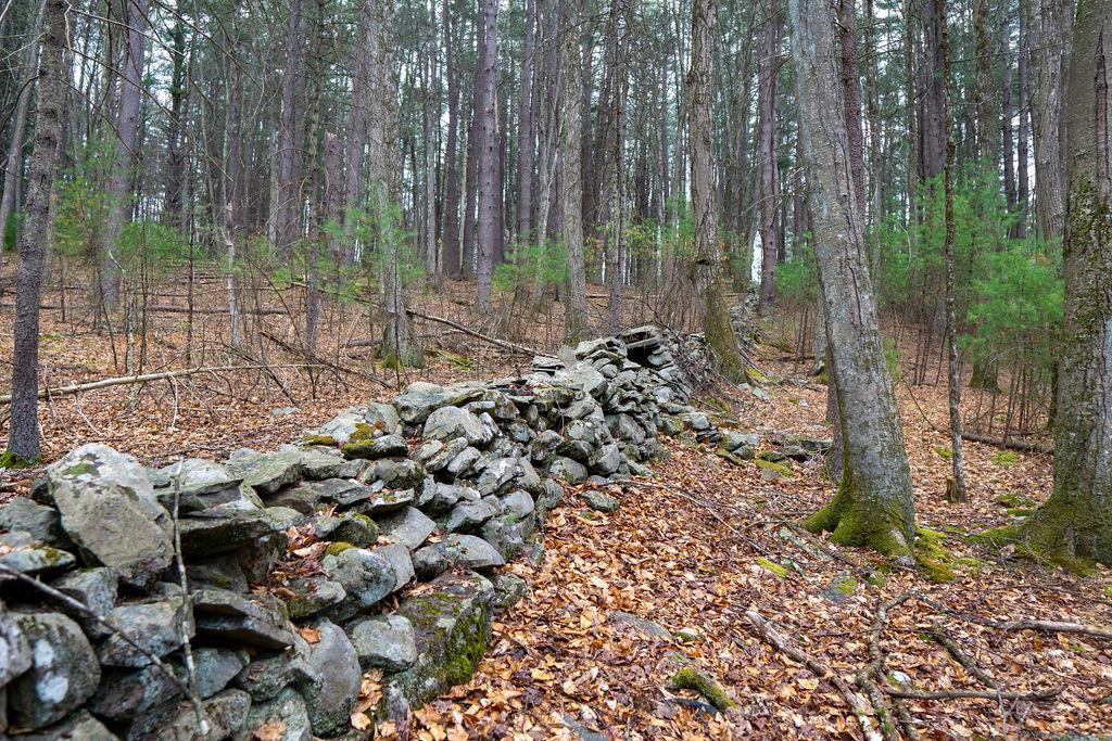 TBD Yulan-barryville Road, Barryville, New York image 17