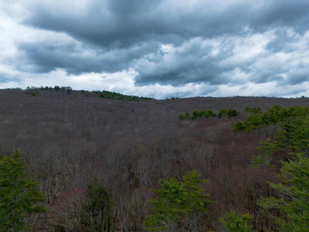 TBD Yulan-barryville Road, Barryville, New York image 7