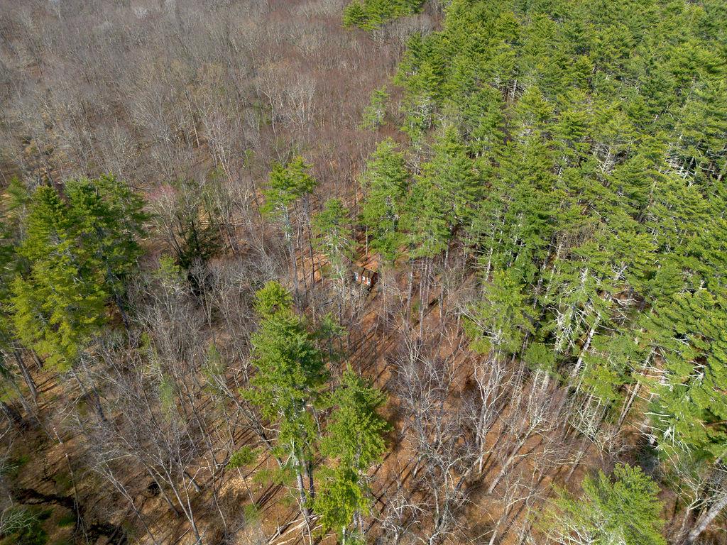 TBD Yulan-barryville Road, Barryville, New York image 10