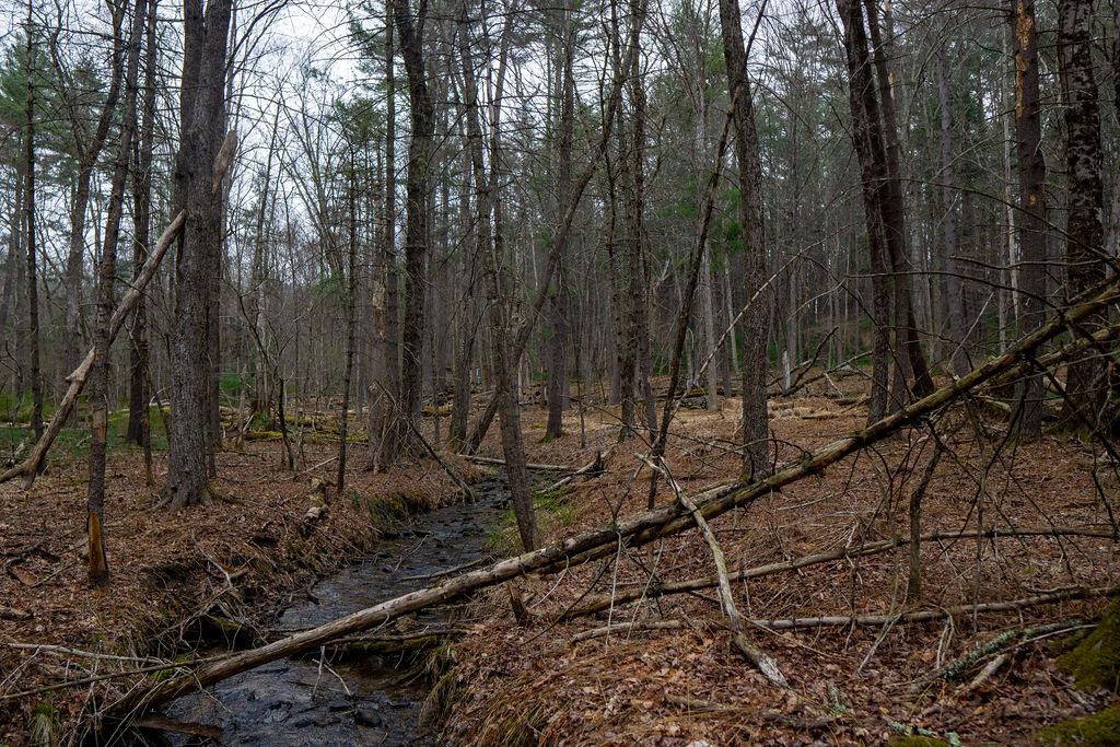 TBD Yulan-barryville Road, Barryville, New York image 14