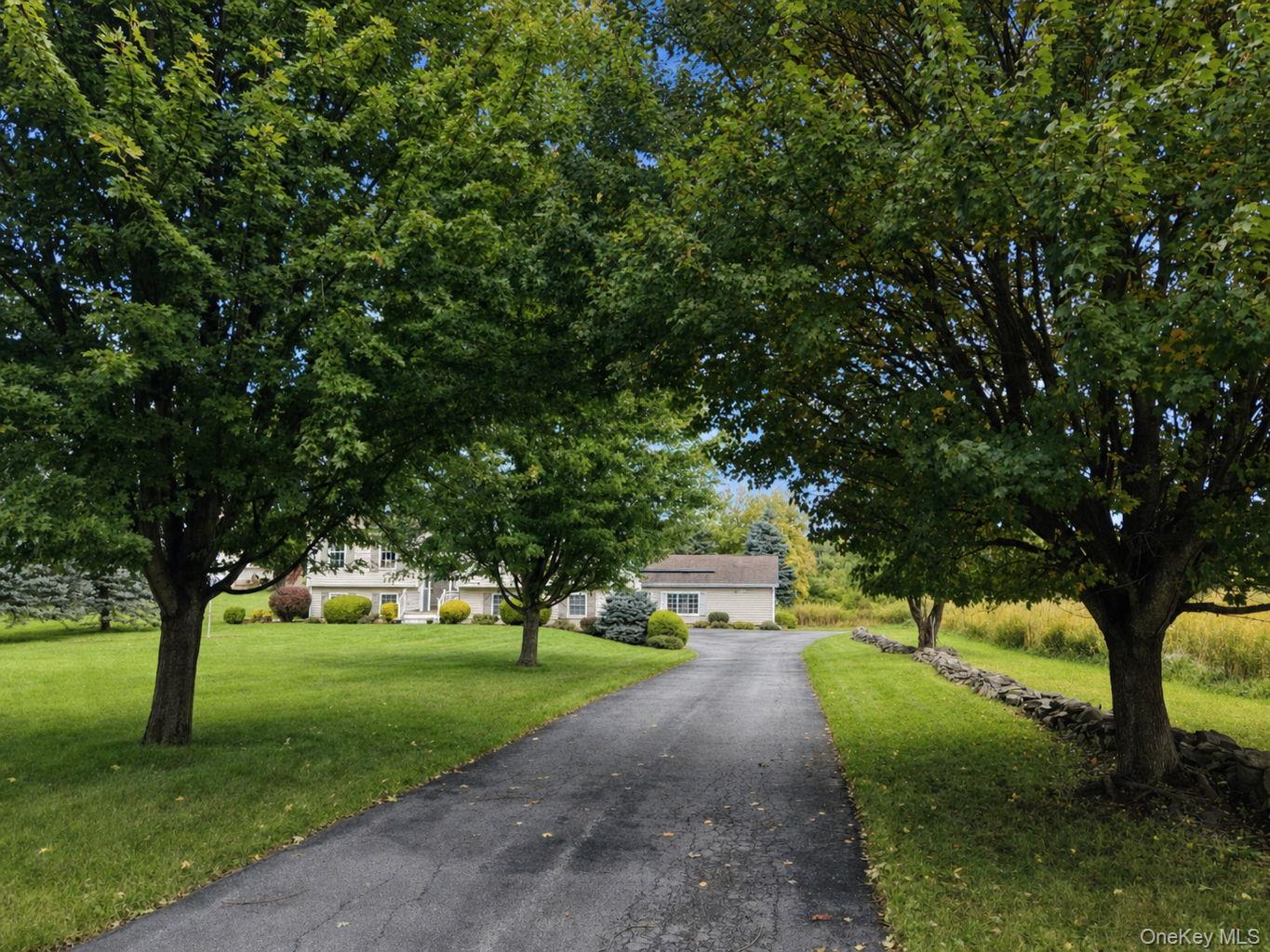 41 Mt Hope Avenue