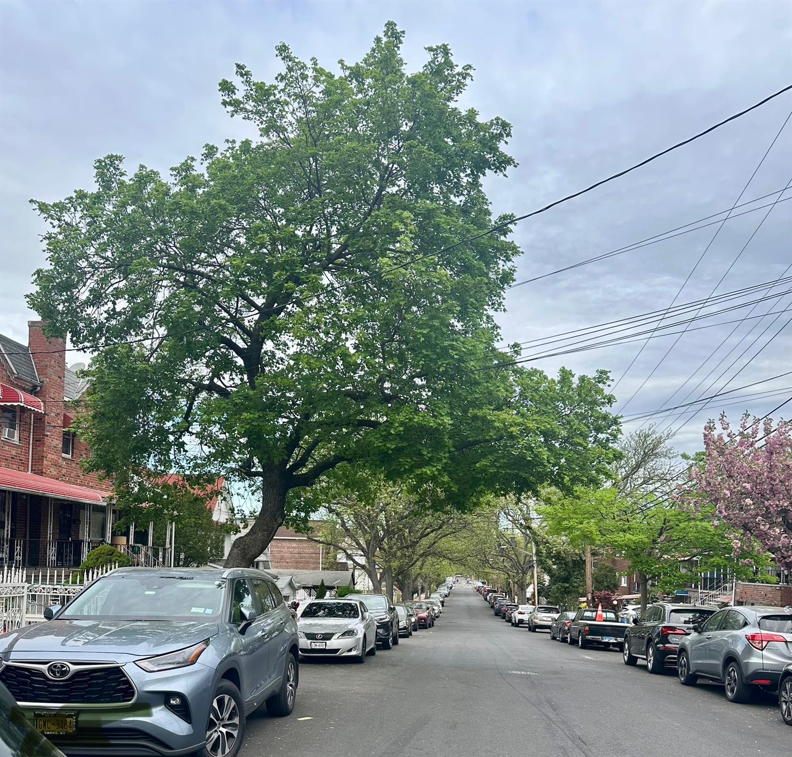 Murdock Avenue Ave, Bronx, New York - 2 Bedrooms  
1 Bathrooms  
4 Rooms - 