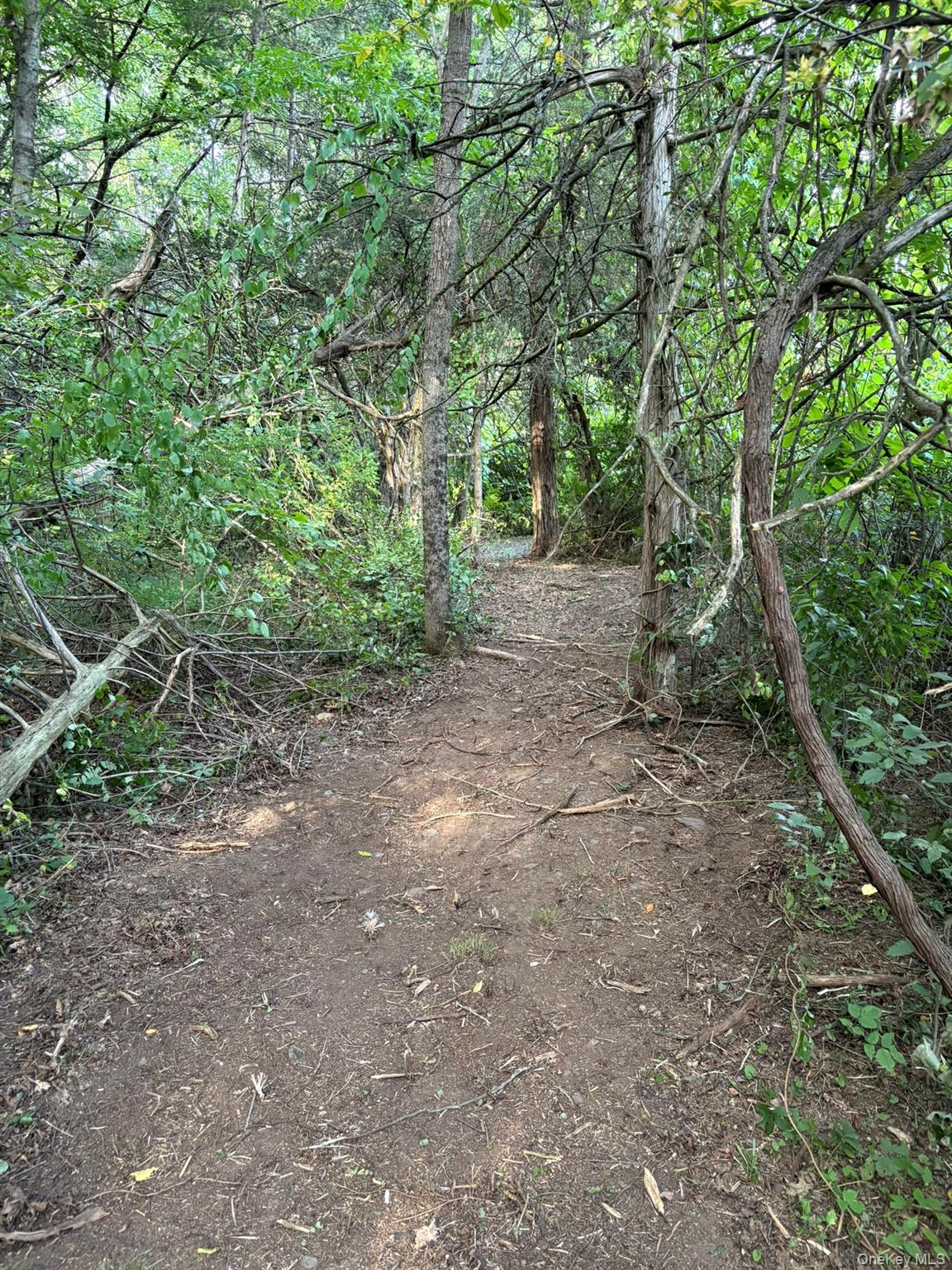 Beaver Rd (Jackson Crs)