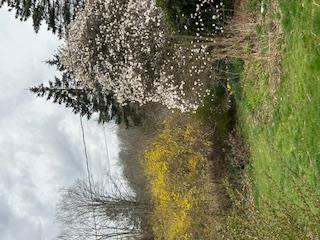 New Paltz, New York 12561, United States, 3 Bedrooms Bedrooms, ,2 BathroomsBathrooms,Residential,Active,159599