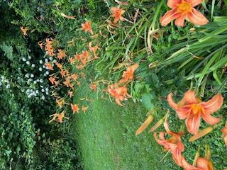 New Paltz, New York 12561, United States, 3 Bedrooms Bedrooms, ,2 BathroomsBathrooms,Residential,Active,159599