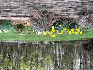 New Paltz, New York 12561, United States, 3 Bedrooms Bedrooms, ,2 BathroomsBathrooms,Residential,Active,159599