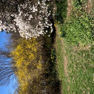 New Paltz, New York 12561, United States, 3 Bedrooms Bedrooms, ,2 BathroomsBathrooms,Residential,Active,159599