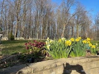 New Paltz, New York 12561, United States, 3 Bedrooms Bedrooms, ,2 BathroomsBathrooms,Residential,Active,159599