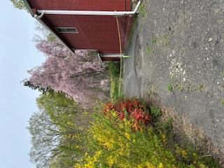 New Paltz, New York 12561, United States, 3 Bedrooms Bedrooms, ,2 BathroomsBathrooms,Residential,Active,159599