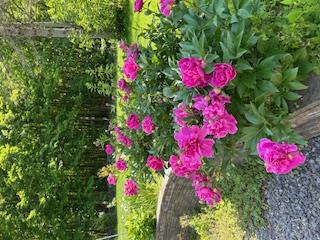 New Paltz, New York 12561, United States, 3 Bedrooms Bedrooms, ,2 BathroomsBathrooms,Residential,Active,159599