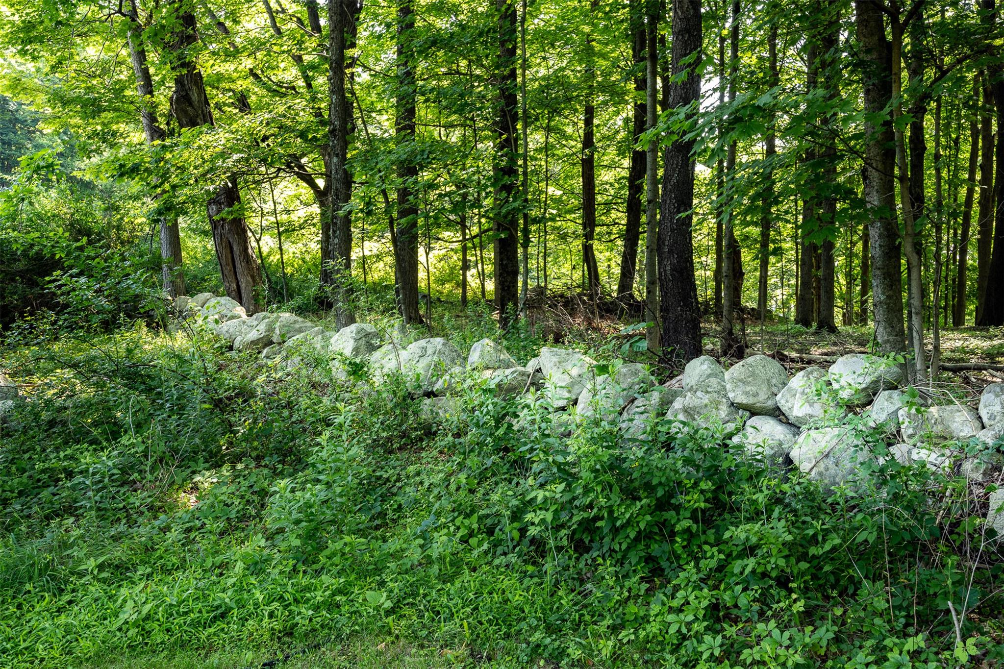 New Paltz, New York 12561, United States, 3 Bedrooms Bedrooms, ,2 BathroomsBathrooms,Residential,Active,159599