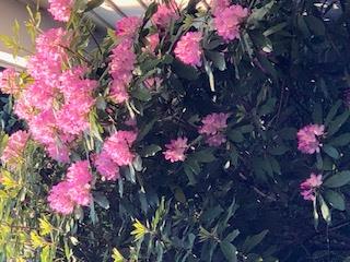 New Paltz, New York 12561, United States, 3 Bedrooms Bedrooms, ,2 BathroomsBathrooms,Residential,Active,159599