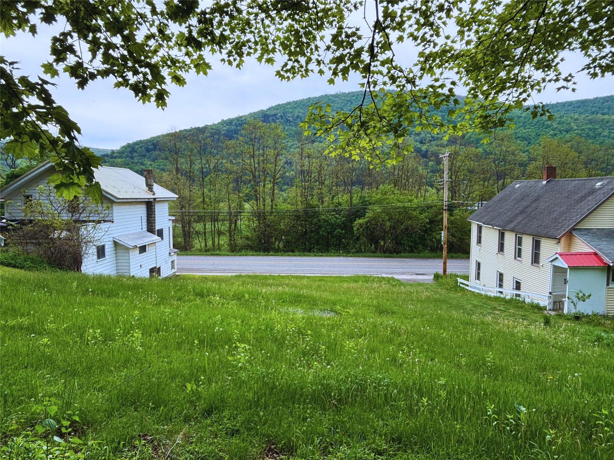 Lot 20 State Highway 10, Hamden, New York image 11