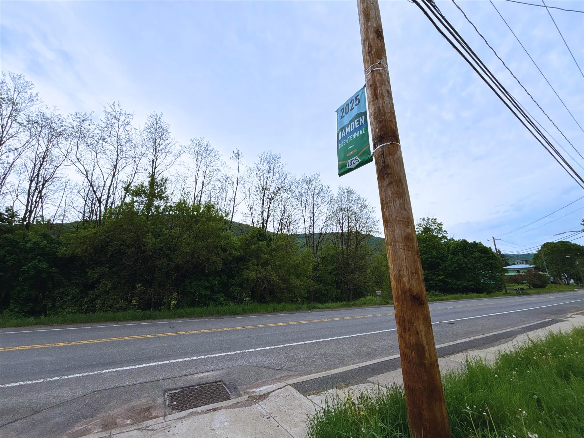 Lot 20 State Highway 10, Hamden, New York image 15